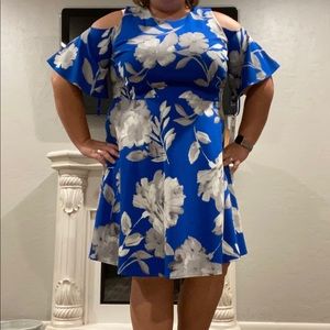 Never worn!! peekaboo shoulder dress! NWT!!!